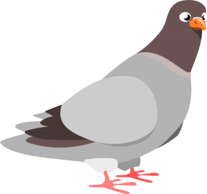 Pigeon PNG-54606